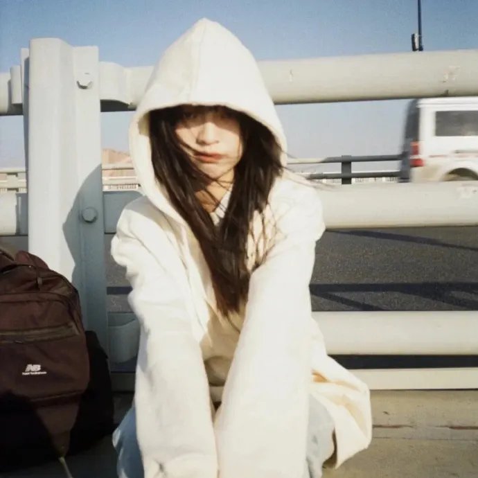 总有刁民想害朕2